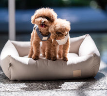Load image into Gallery viewer, Dogs relaxing in FuzzYard Life cotton dog bed in Sandstone
