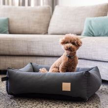 Load image into Gallery viewer, Dog relaxing in FuzzYard Life cotton dog bed in Slate Grey
