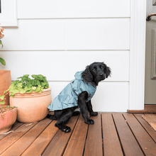 Load image into Gallery viewer, Dog sitting side on wearing the FuzzYard Life waterproof dog raincoat in myrtle green, showing the stylish hood and lightweight fit.
