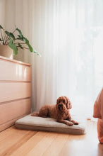 Load image into Gallery viewer, FuzzYard Life Lounge Mat – Luxury Orthopedic Pet Bed with Washable Cover (Sandstone)
