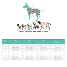 Load image into Gallery viewer, FuzzYard Life Dog Pyjamas – Luxury High Neck Loungewear for Pets (Myrtle Green)
