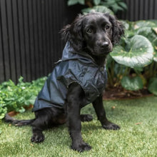 Load image into Gallery viewer, Dog wearing the Fuzzyard Life Slate Grey raincoat, showing the waterproof fit and hood.
