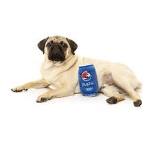 Load image into Gallery viewer, Dog playing with FuzzYard Pupsi soda can plush dog toy with squeaker
