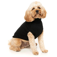 Load image into Gallery viewer, Cream doodle-style dog sitting and wearing the black FuzzYard Stevie Dog Sweater, showing the warm turtle neck pullover design.

