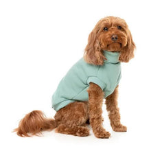 Load image into Gallery viewer, Medium apricot doodle-style dog sitting and wearing the mint FuzzYard Stevie Dog Sweater, highlighting the soft cotton turtle neck design.
