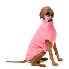 Load image into Gallery viewer, Large brown dog sitting and wearing the pink FuzzYard Stevie Dog Sweater, showing the comfy turtle neck and relaxed fit.
