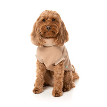 Load image into Gallery viewer, FuzzYard Stevie Dog Sweater 24 – Cotton Turtle Neck Pullover (Beige)
