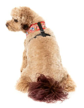 Load image into Gallery viewer, FuzzYard – The Homies Dog Harness
