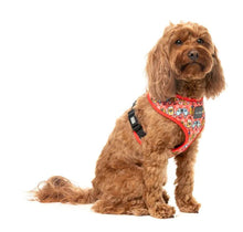 Load image into Gallery viewer, FuzzYard – The Homies Dog Harness
