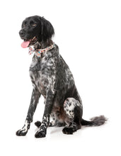 Load image into Gallery viewer, FuzzYard Tinsel Time Bow Tie &amp; Bandana Set
