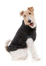 Load image into Gallery viewer, FuzzYard Turtle Teddy 24 Dog Sweater - Carbon Black
