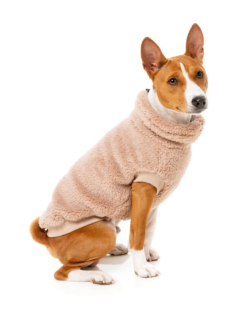 FuzzYard Turtle Teddy 24 Dog Sweater -  Chia