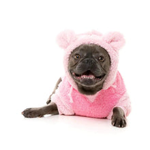Load image into Gallery viewer, FuzzYard Winnie Hoodie – Pink  Cosy Dog Hoodie with Teddy Ears
