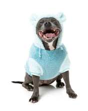 Load image into Gallery viewer, FuzzYard Winnie Hoodie – Blue - Cosy Dog Hoodie with Teddy Ears
