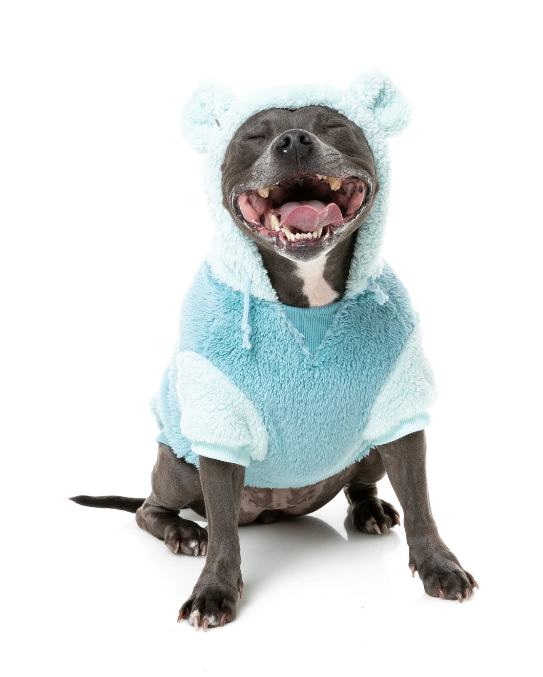 FuzzYard Winnie Hoodie – Blue - Cosy Dog Hoodie with Teddy Ears