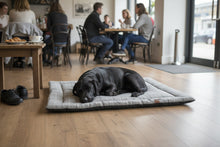 Load image into Gallery viewer, Luxury Foldable Dog Travel Mat &amp; Bed
