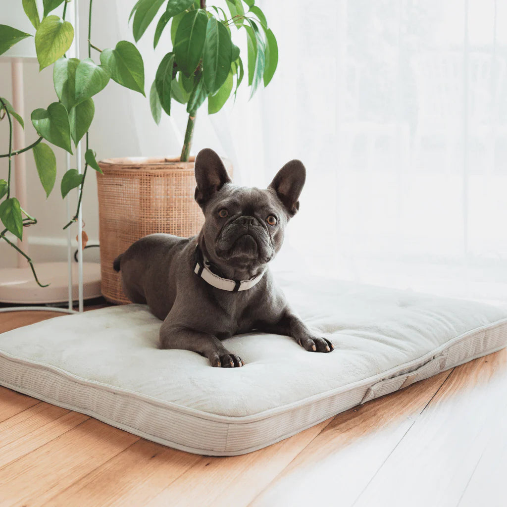 FuzzYard Life Lounge Mat – Luxury Orthopedic Pet Bed with Washable Cover (Sandstone)