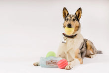 Load image into Gallery viewer, Pup Cup Café Mutt-a-rons by P.L.A.Y.
