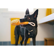 Load image into Gallery viewer, P.L.A.Y. Splish Splash Bark n’ Bristles Dog Toy
