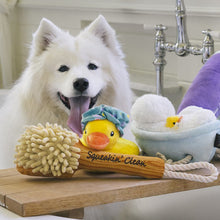 Load image into Gallery viewer, P.L.A.Y. Splish Splash – Rub-a-dub-Tub Dog Toy
