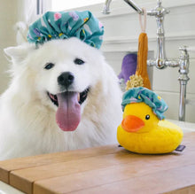 Load image into Gallery viewer, P.L.A.Y. Splish Splash Shower Quack Dog Toy
