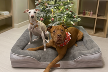 Load image into Gallery viewer, The Belgravia Orthopaedic Dog Sofa™ - Xl
