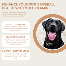 Load image into Gallery viewer, Multivitamin Treats
