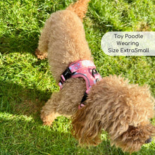 Load image into Gallery viewer, Peachy Hearts ‘Rugged Rover’ No-Pull Dog Harness – PupClub Couture
