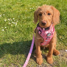 Load image into Gallery viewer, Peachy Hearts ‘Rugged Rover’ No-Pull Dog Harness – PupClub Couture
