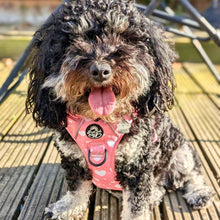 Load image into Gallery viewer, Peachy Hearts ‘Rugged Rover’ No-Pull Dog Harness – PupClub Couture
