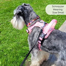 Load image into Gallery viewer, Peachy Hearts ‘Rugged Rover’ No-Pull Dog Harness – PupClub Couture
