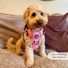 Load image into Gallery viewer, Peachy Hearts ‘Rugged Rover’ No-Pull Dog Harness – PupClub Couture
