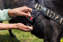Load image into Gallery viewer, Tre Ponti Primo Plus Euro Camouflage Harness with Handle

