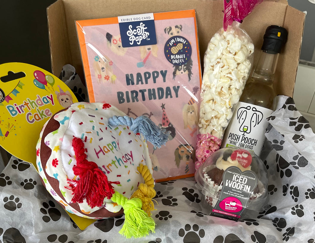 Our Birthday Boxes For Dogs