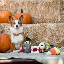 Load image into Gallery viewer, P.L.A.Y Howling Haunts - Doggy Dagger
