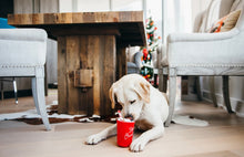 Load image into Gallery viewer, P.L.A.Y Christmas Hot Chocolate Dog Toy
