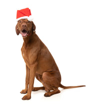 Load image into Gallery viewer, Fuzzyard Christmas Santa Hat
