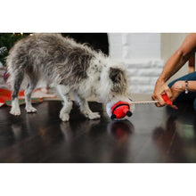 Load image into Gallery viewer, P.L.A.Y Merry Woofmass Clumsy Santa Dog Toy

