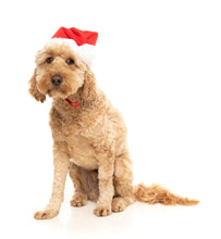 Load image into Gallery viewer, Fuzzyard Christmas Santa Hat
