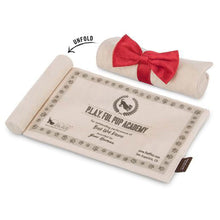 Load image into Gallery viewer, P.L.A.Y Back To School K9 Scholar Hat &amp; Diploma Plush Dog Toy
