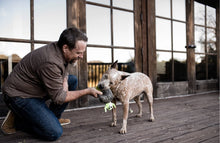 Load image into Gallery viewer, P.L.A.Y - Howling Haunts Ghoulish Grave Dog Toy
