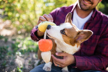 Load image into Gallery viewer, P.L.A.Y Howling Haunts Canine Corn
