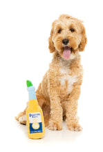 Load image into Gallery viewer, FuzzYard Pawrona Plush Squeaky Dog Toy
