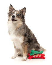 Load image into Gallery viewer, Fuzzyard Christmutts Homies Bones 2pk
