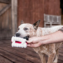 Load image into Gallery viewer, P.L.A.Y - Howling Haunts Barky&#39;s Bite Dog Toy
