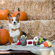 Load image into Gallery viewer, P.L.A.Y - Howling Haunts Ghoulish Grave Dog Toy
